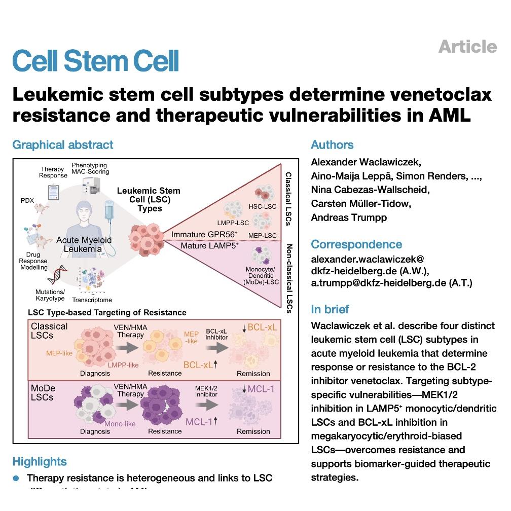 1049-LSC Subtypes Driving Venetoclax Resistance in AML episode artwork