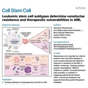 1049-LSC Subtypes Driving Venetoclax Resistance in AML