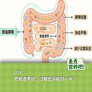 074.把肠道养好，过敏也许能好一半？
