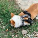 Jacky-wang