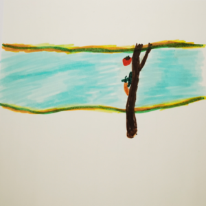 第二季 7 佐贺的超级阿嬷