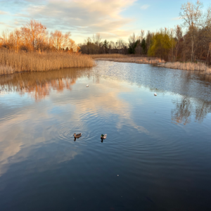 014 春日生活的三重感悟