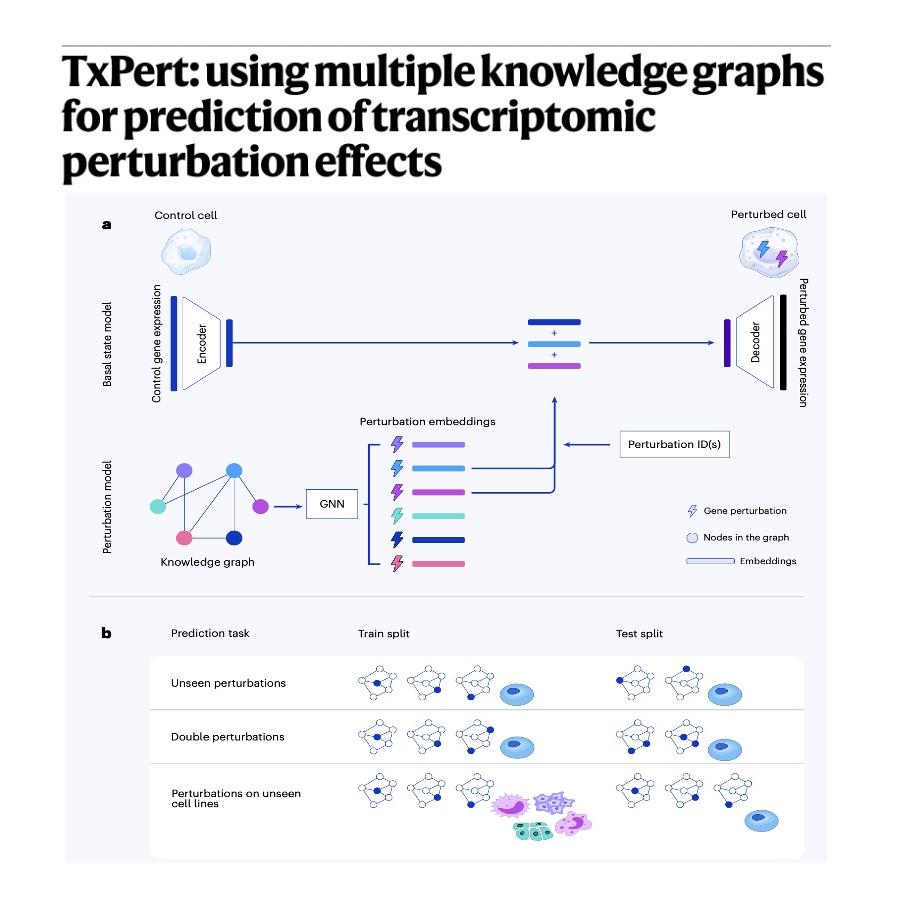 1039-TxPert: Predicting Transcriptomic Perturbation Effects episode artwork