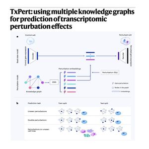 1039-TxPert: Predicting Transcriptomic Perturbation Effects