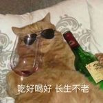 迷迷糊糊趣多多