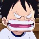 都说了我是专业的