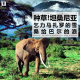 三好旅行 - 种草坦桑尼亚！乞力马扎罗的雪和桑给巴尔的浪