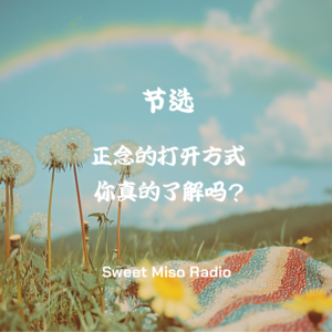 【有声读物】你真的了解正念吗？我们要如何正确习得？