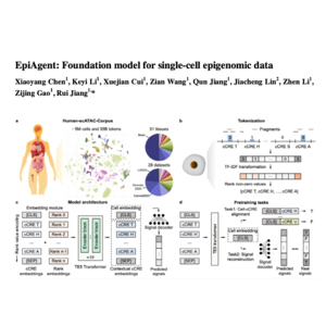 203-EpiAgent: Foundation Model for Single-Cell Epigenomics
