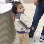 双子座虾片