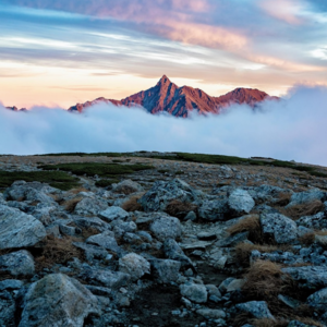 2025年1-4月｜Part 3 你怎么看待国家认同？