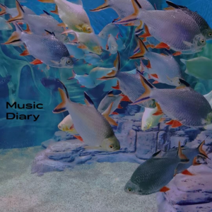 #25-New Age-🧜🏻‍♀️人鱼公主的摇篮曲🧜🏻‍♀️