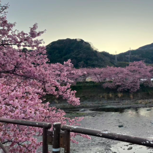 036｜人生很长的，先随便过一下咯