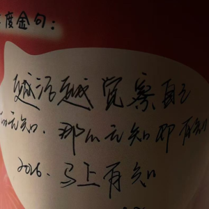 044-📖作为“二手人类”左右脑互博的一些思考