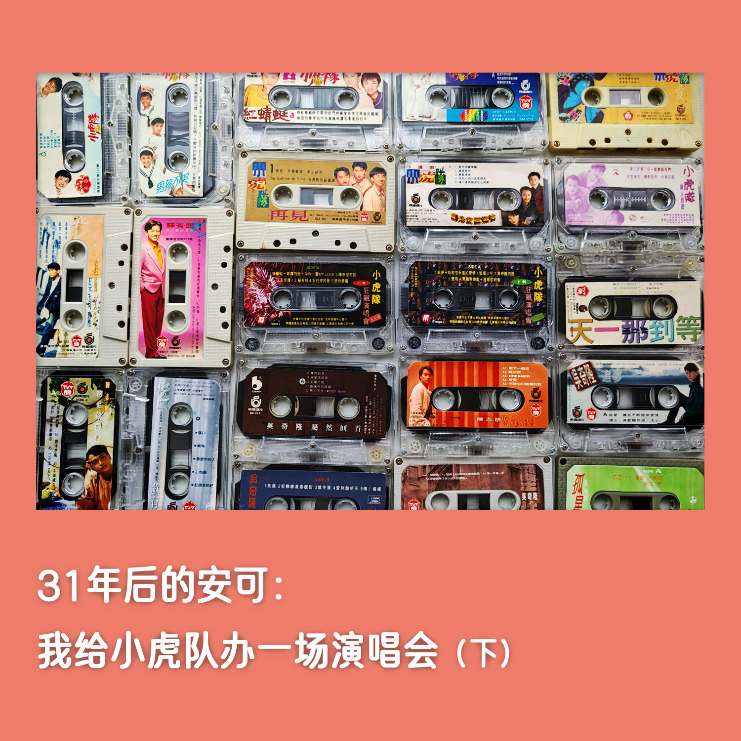 #28🐯31年后的安可：我给小虎队办一场演唱会(下) episode artwork