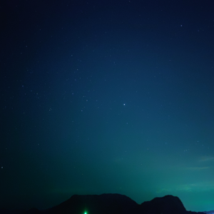 No.11 | 真相！真香~新设技术岗细节大揭秘