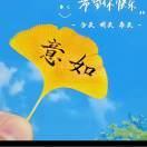 辉_wo2A