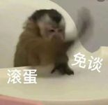 一颗种子的自救