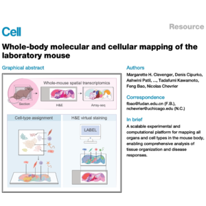 790-Whole-Body Cellular Mapping of Laboratory Mouse