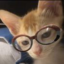 studyingVer