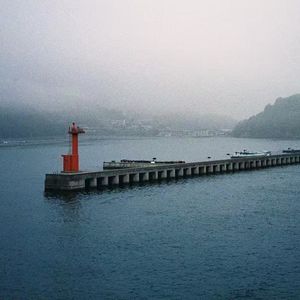( 在脑海里闲逛,在记忆中迷路 )