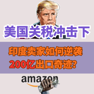 美国关税冲击下，印度卖家如何逆袭200亿出口奇迹？ | 跨境趋势谈067