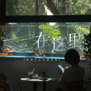 003去公园卖一下午气球，我学到的商业认知