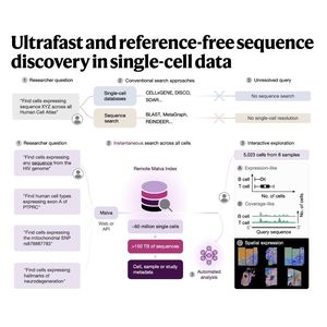 1577-Malva: Reference-Free Sequence Discovery in Single-Cell