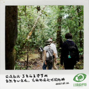 日谈夜话 · 马来西亚婆罗洲｜自然童心未泯，在雨林深处找回纯粹