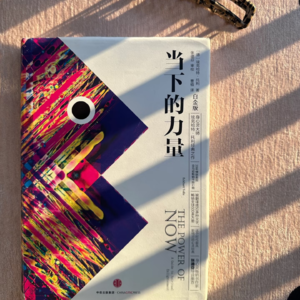 《当下的力量》