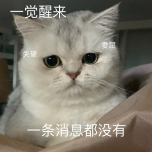 Vol.13 我们不讨论的关系，很接近却...聊聊恋爱脑