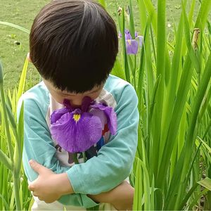 水果家