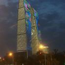 艳阳高照众木成林