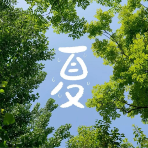 39.这个夏天，我在北海道穿丁字裤游行