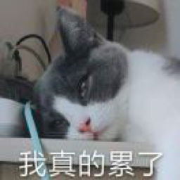 纸偶周的个人播客