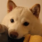 吴米拉
