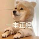 就当漫步地球