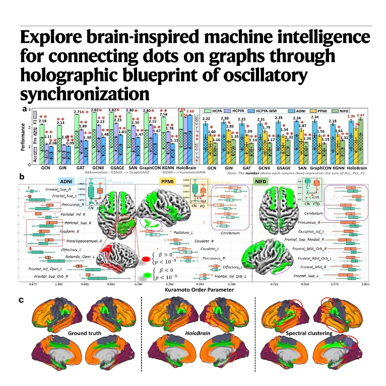 608-HoloBrain and HoloGraph: Oscillatory Synchronization