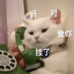 蓝翼