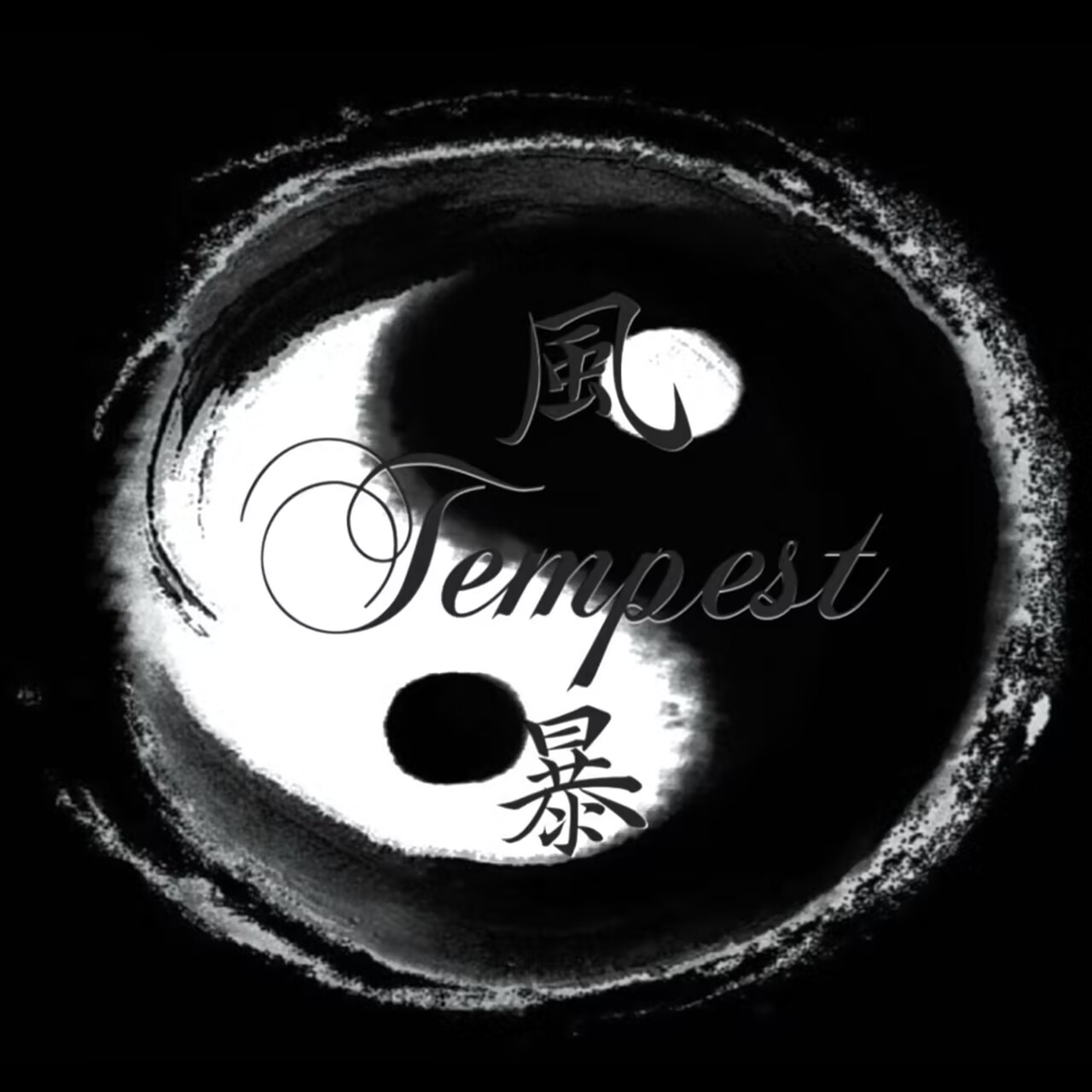 阴 / 阳 by风暴tempest episode artwork