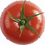 下雨就散步的猫