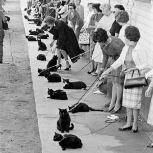 加拿大和印度为何又互逐外交官？