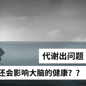 Ep 53 代谢问题对大脑的影响可能超出你的想象