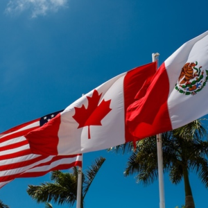 特朗普再次挥舞“关税大棒”，加拿大学者：虚张声势、有违竞选承诺