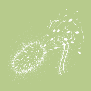 EP02 【奥运专题】植物界的射击选手