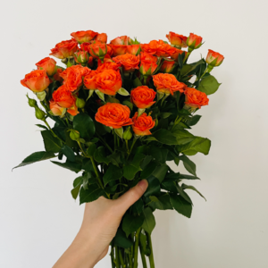 Vol.05 在《项脊轩志》深情的背面,看见深重的女性苦难