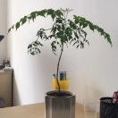 约翰邓普顿