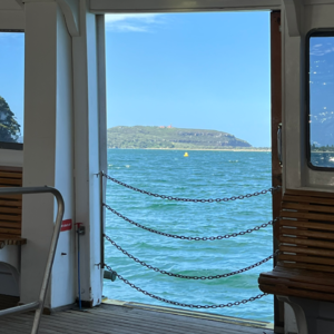 33 - 消失的2025上半年