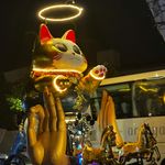 读点什么吧
