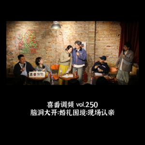 vol.250 脑洞大开；婚礼困境；现场认亲